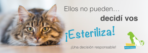 Esteriliza