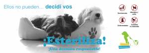 Esteriliza