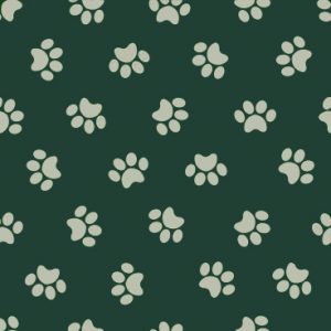 Veterinaria Mundo de las Mascotas