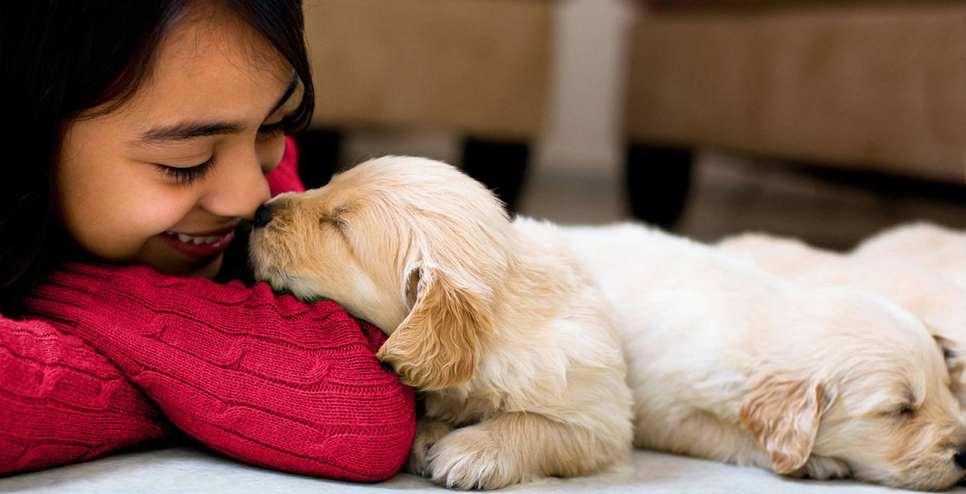 Amor y mascotas