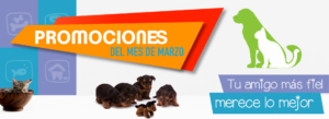 Promociones Marzo